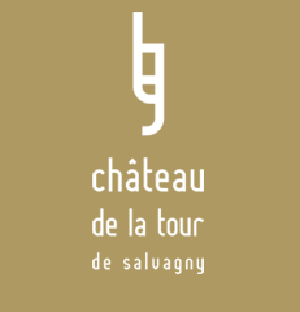 Château de la Tour de Salvagny